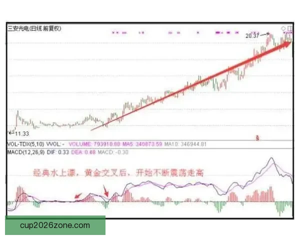 2026世界杯夺冠赔率持续震荡背后强队格局与黑马机会深度解析